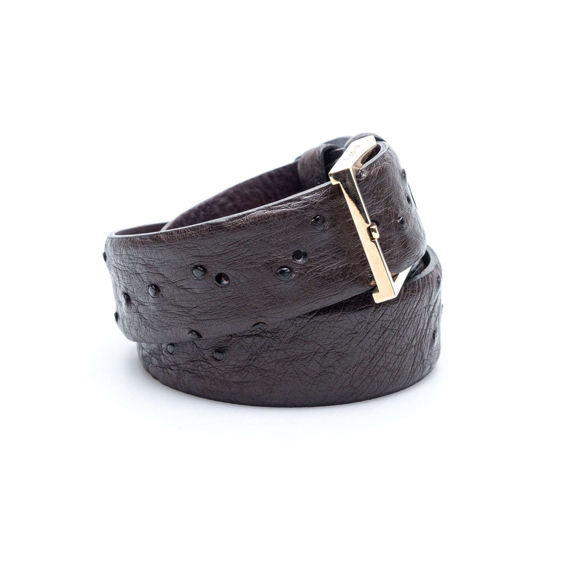 Hettabretz - Classic Ostrich Belt Gold - Belt | Outlet & Sale