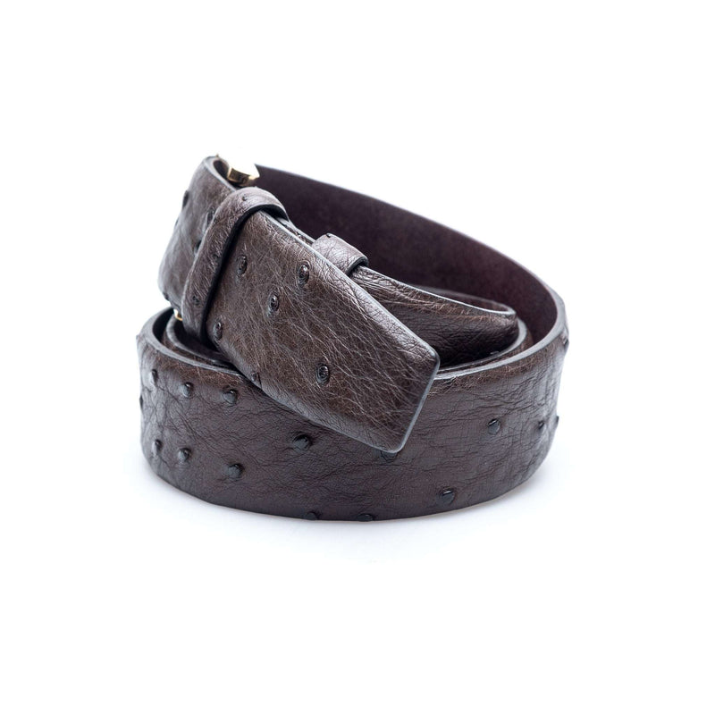 Hettabretz - Classic Ostrich Belt Gold - Belt | Outlet & Sale